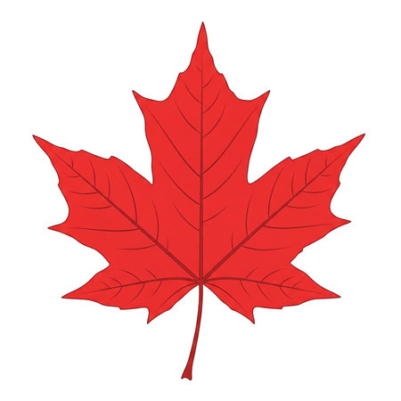 Maple leaf icon. Flat illustration of maple leaf icon for web designの素材