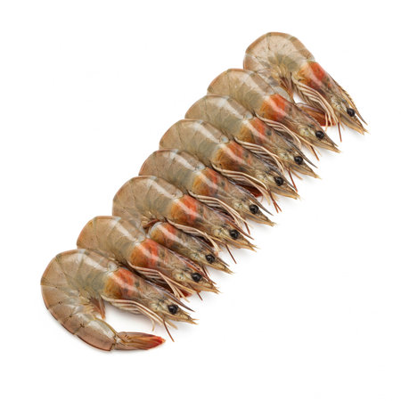 Raw tiger prawns isolated on white background.の素材