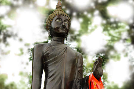 Led the way to the light.の写真素材