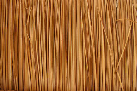 Roof made of grass.の写真素材