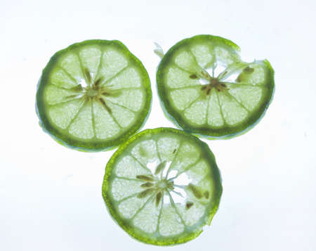 Thai people use a skin, kaffir lime curry spice mix. Various kinds of curry and spicy fried put in chili (noodles), water, lime sour the savory cooking.の写真素材