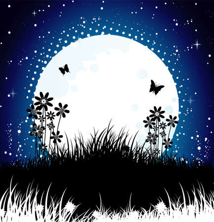 Moon nightのイラスト素材