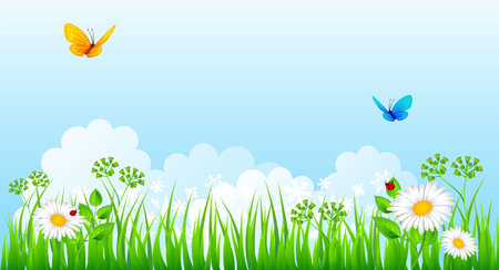 Vector illustration of Summer grassのイラスト素材