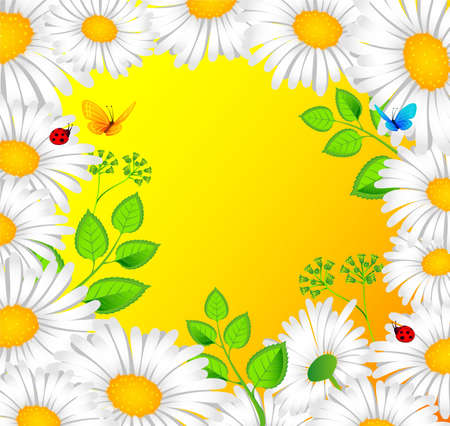 Vector illustration of Chamomile backのイラスト素材