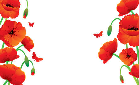 Red poppies backのイラスト素材