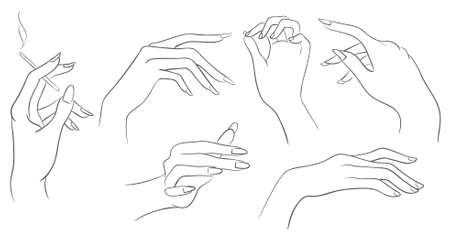 Vector women handsのイラスト素材