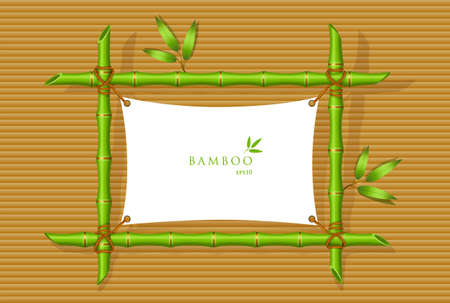 Vector illustration of Background with green bamboo frameのイラスト素材