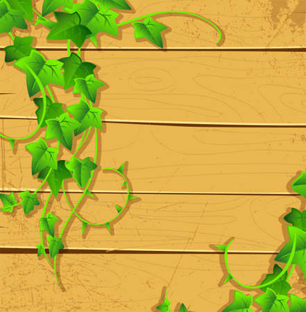 illustration of Ivy backのイラスト素材