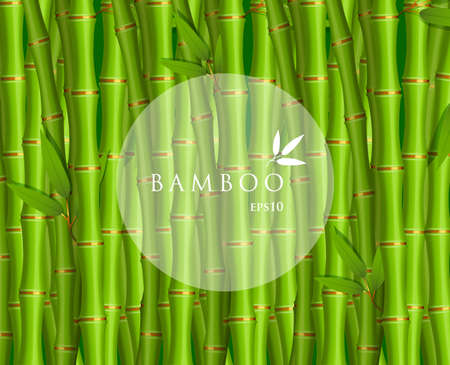 Vector illustration of Background with green bambooのイラスト素材