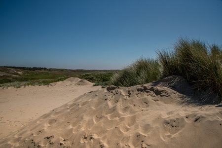 Den Helder, the Netherlands, May 30, 2021. Dunes near the seaside of Den Helder, the Netherlands. . High quality photoの写真素材