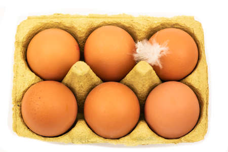 The Netherlands, February 2022. A carton of eggs with feathers on a white background. High quality photoの写真素材