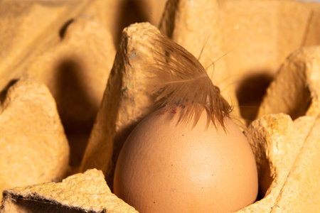 The Netherlands, February 2022. A carton of eggs with feathers on a white background. High quality...