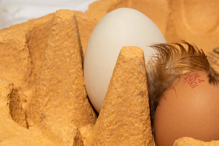 The Netherlands, February 2022. A carton of eggs with feathers on a white background. High quality...