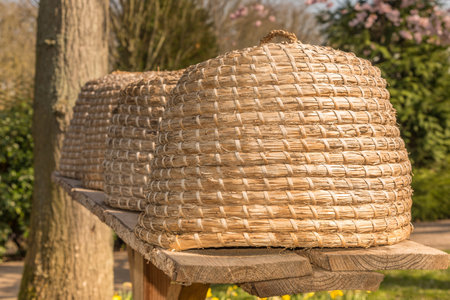 Lisse, Netherlands, April 2022. Close up of beehives on a shelf. . High quality photoの写真素材