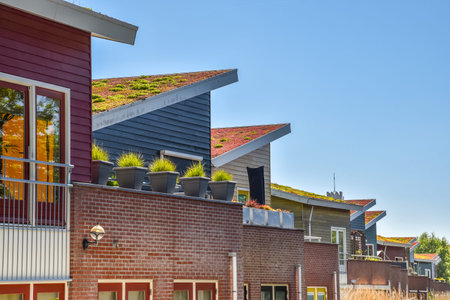 Den Helder, Netherlands. June 2022. Environmentally friendly roofs in a residential area in Den...