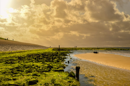 Den Helder, Netherlands. July 2022. The beach at Huisduinen at low tide. High quality photo