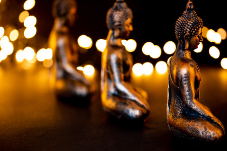Netherlands. October 2022.buddha statue in calm rest pose. Shakyamuni Buddha is a spiritual teacher, one of the three world religions. High quality photoの写真素材