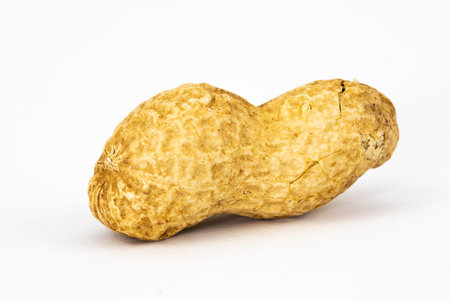 Netherlands. October 2022. Peanuts, isolated on white background. High quality photo