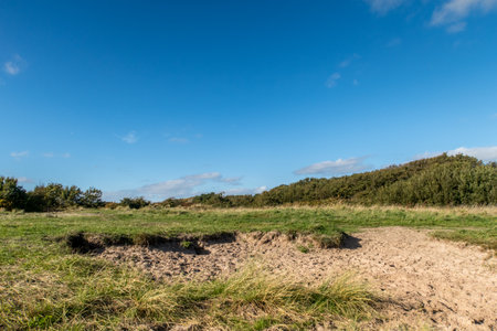 Den Helder, Netherlands. October 2022. The dune landscape at the Grafheidsduinen in Den Helder. High quality photoの写真素材