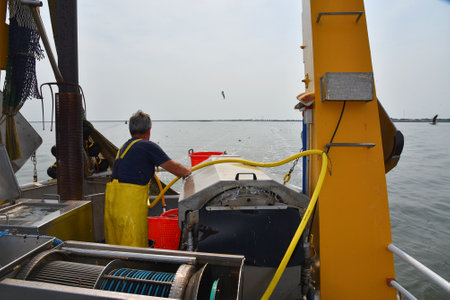 Den Oever, Netherlands. July 9, 2023. A fisherman at work. High quality photoの写真素材