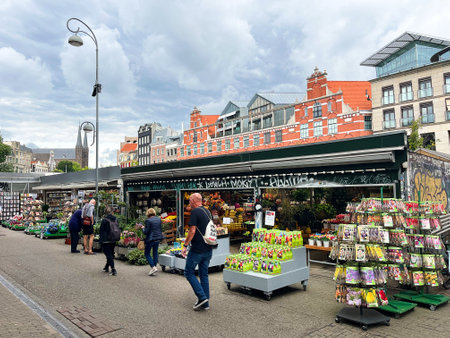 Amsterdam, Netherlands. August 26, 2023. The floating flower market in Amsterdam. High quality photoのeditorial素材