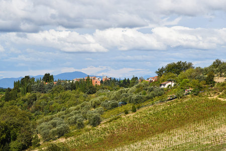 Tuscany, Italy. September 18, 2024. Tuscany landscape with olive trees and grapevines. High quality photoの写真素材