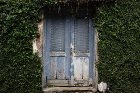 an ancient door surrounded by vines