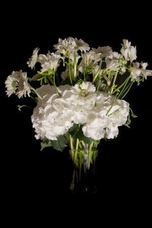 a nice bouquet of white flowers with a black backgroundの写真素材