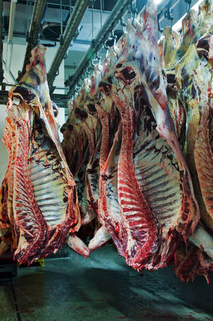 	beef and half in the fridgeのeditorial素材