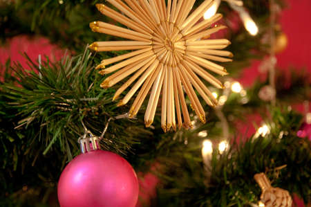 Christmas treeの写真素材
