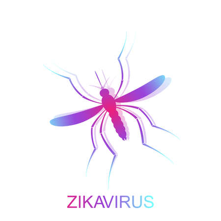 Zika mosquito vector. Zika virus alert. Zika virus concept. Zika virus mosquito bite. Mosquito Aedes Aegypti isolated on white background.のイラスト素材
