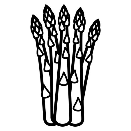 Vector illustration of a bunch of asparagus on a white background.のイラスト素材
