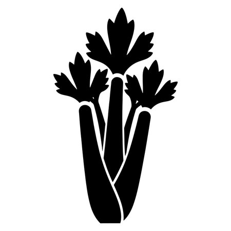 fresh celery vegetable isolated icon vector illustration design  black and whiteのイラスト素材