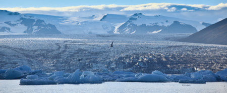Lagoon Icebergs in Iceland