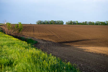 Ploughed field in spring prepared for sowing.の写真素材