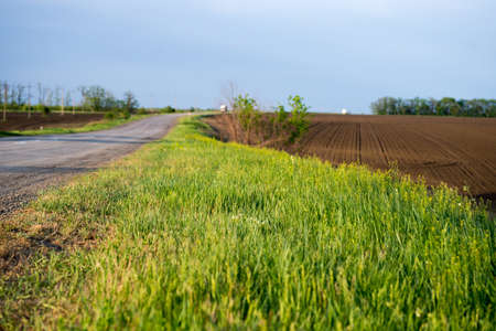 Summer landscape with a beautiful sky on a sunny day with a river and road.の写真素材