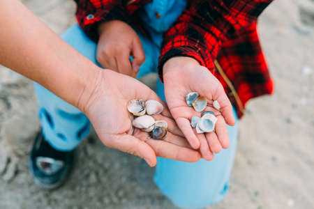 Close up of a little girl holding sea shells in her hands.の写真素材