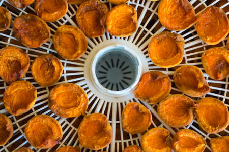 Dried Apricots on a table Food dryer white colorの写真素材
