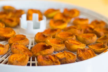 Dried Apricots on a table Food dryer white colorの写真素材