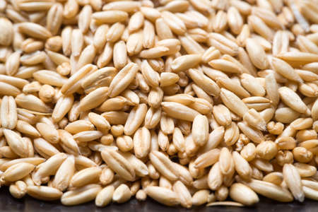 grain of oats of golden color, macro shotの写真素材