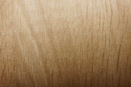 background with wood texture, place for textの写真素材