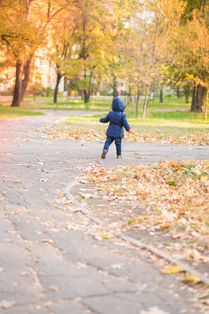 little baby boy walking away in colorful autumn parkの写真素材