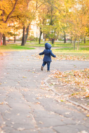 little baby boy walking away in colorful autumn parkの写真素材