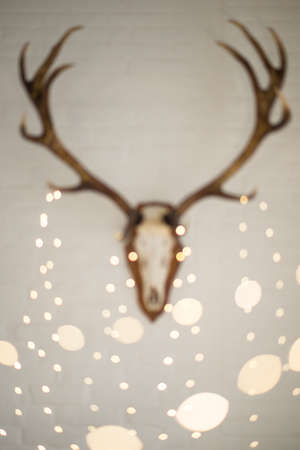 blured Antlers hanging on the white wall as decoration. bokehの写真素材