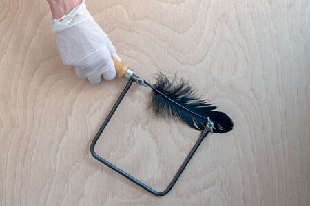 Non violent abuse. Hand with glove holding a hand saw that has a black feather by saw.の写真素材