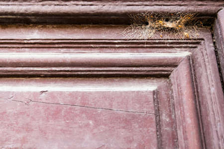 Old wooden door. Detail. Door lock. Spider web.の写真素材