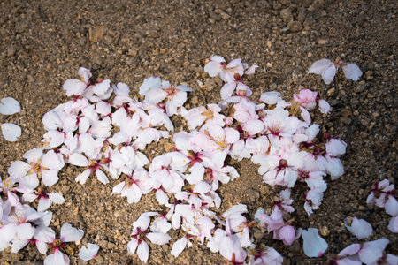 Petals on the floor useful as a background.
