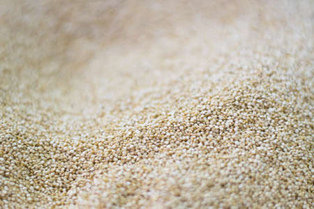 Quinoa seeds in a market. Chenopodium quinoa. Background.の写真素材