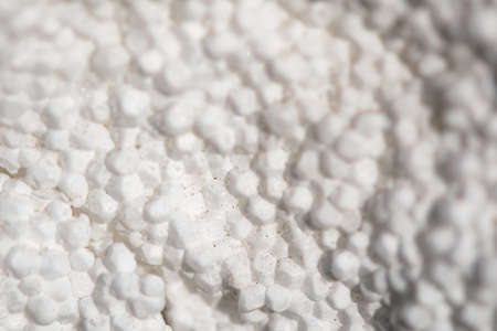 Polystyrene foam. White background. Dirty and old foam sheets.の写真素材