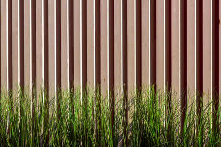 wooden texture with a green grass.の写真素材